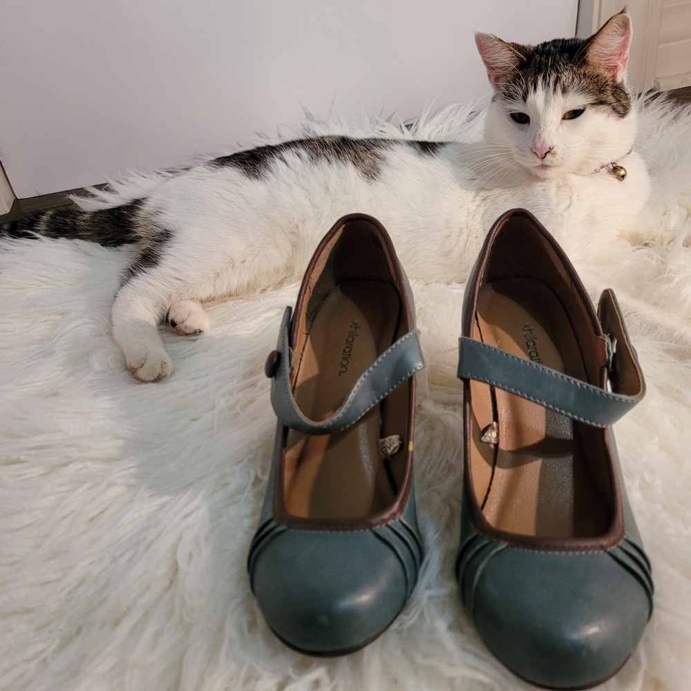 blue and brown heels